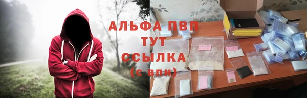 винт Арсеньев