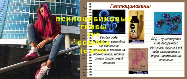 хмурый Армянск