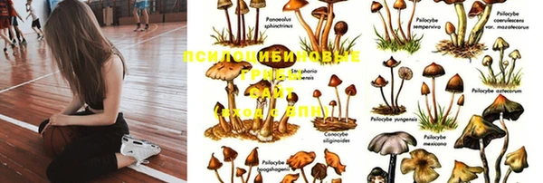 хмурый Армянск